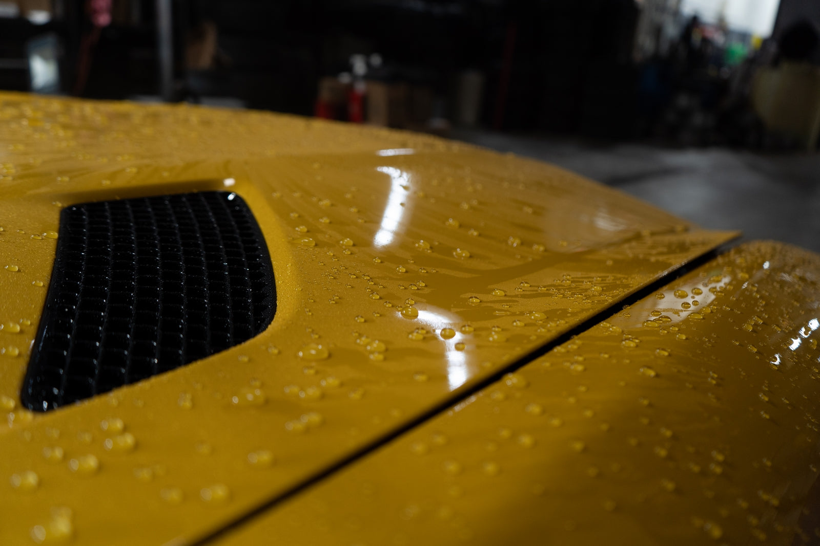 Detailing Axels Automotive, Inc.